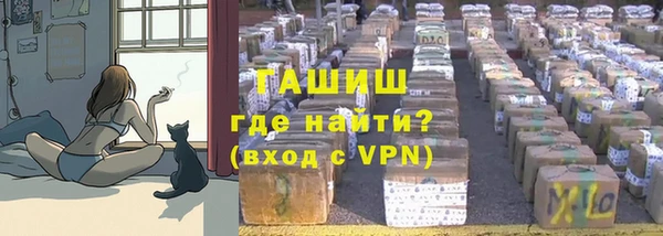 ПСИЛОЦИБИНОВЫЕ ГРИБЫ Алзамай