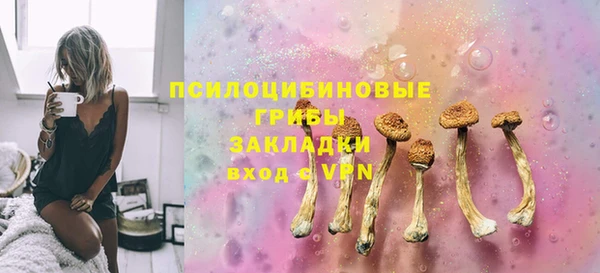 ПСИЛОЦИБИНОВЫЕ ГРИБЫ Алзамай
