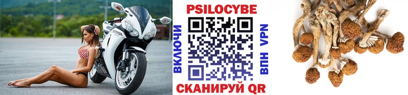 Псилоцибиновые грибы ЛСД где найти наркотики Осинники